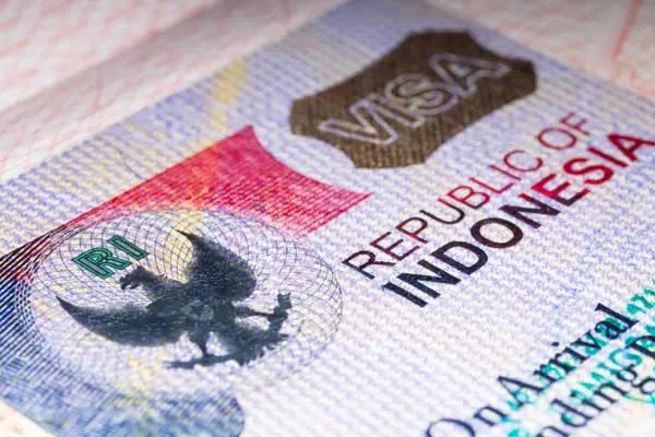 Cameroon Withdrawn from Calling Visa Country List, Director General of Immigration: There are Economic and Security Considerations
